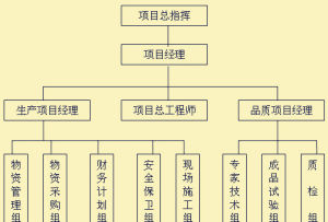 項目管理組織機構