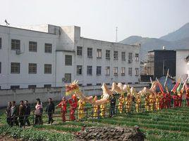 中埠村[廣東廣州市番禺區大崗鎮下轄村]