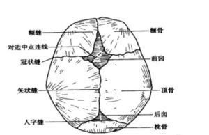 顱縫