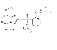五氟磺草胺
