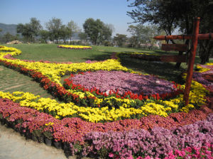 北京西山國家森林公園