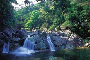 十萬大山國家森林公園