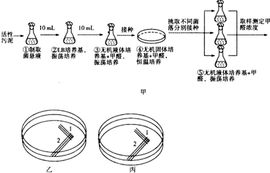 二次污染物