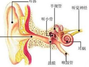 內耳眩暈