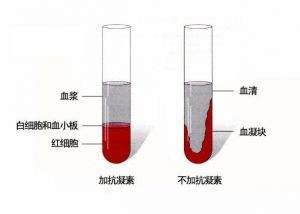 紅細胞比容