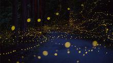 firefly[Joss Whedon導演的電視劇]