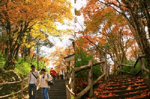 雅克夏國家森林公園