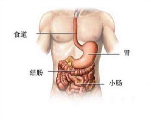 高血糖素