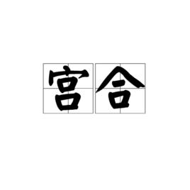 宮合[詞語]