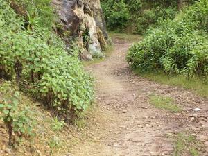 （圖）進村道路