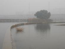 永定河森林公園