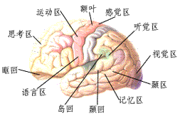 頑固性失眠症