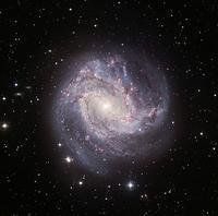 M83[M83]