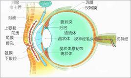 近視眼併發症