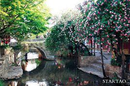 麗江大石橋