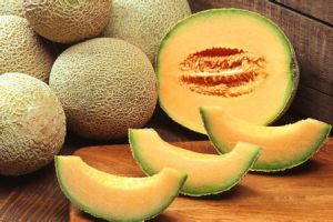 Hami melon