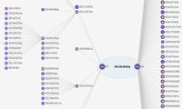 IncoPat科技創新情報平台