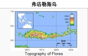 弗洛勒斯島