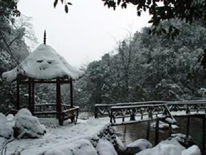 （圖）九龍溝雪景