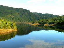 桃山林場