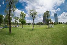 廣州市兒童公園中央大草坪