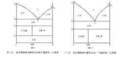 二元系統