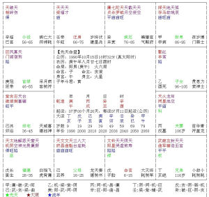 紫微斗數表