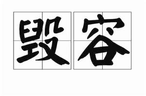 毀容[詞語]