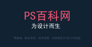 ps百科網