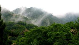 廣東翁源青雲山省級自然保護區