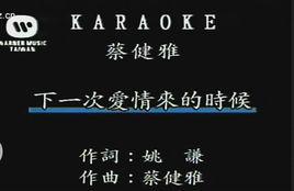 下一次愛情來的時候[蔡健雅演唱歌曲]