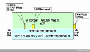 國泰人壽康乃馨兩全保險