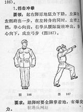 捕俘 拳