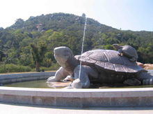 黃花山國家森林公園風景