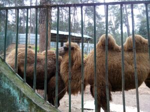 青原山動物園