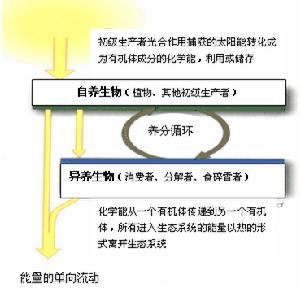 （圖）英特爾投資