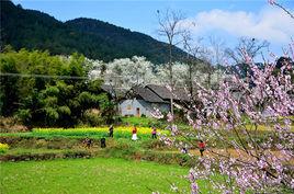 沙坪村[昭通大關縣悅樂鎮下轄村]