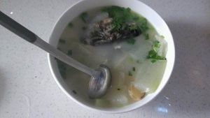 冬瓜魚頭湯