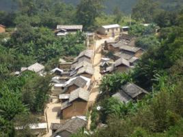 大平地村[雲南南澗縣南澗鎮下轄村]