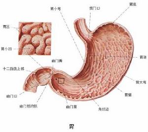 急性單純性胃炎