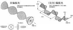 偏振式3D原理