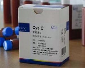 胱抑素C