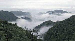 白雲山[浙江省麗水市]