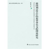 德國刑法學中的犯罪事實支配理論研究