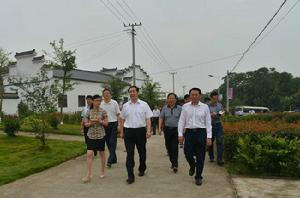 槐樹村[安徽省安慶市潛山市黃鋪鎮下轄村]