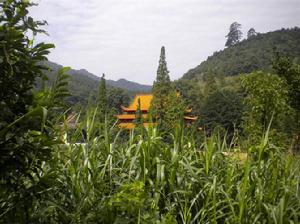 雲岩寺