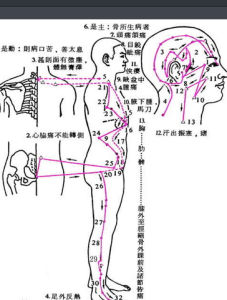 敲膽經