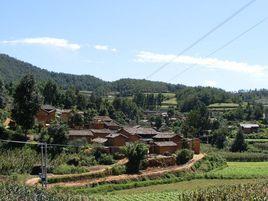 山神廟村[雲南尋甸縣柯渡鎮下轄村]