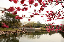 高東公園景色