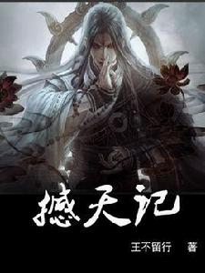 撼天記[王不留行小說]